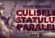 Culisele statului paralel: Revoluție sau lovitură de stat? Am luptat pentru LIBERTATE sau am fost omorâți pentru a fi LIBERI?