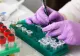 Expert în sănătate publică: Ce se întâmplă în organismul nostru când ne este administrat vaccinul anti-Covid