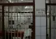 ANP anunță RECORD la vaccinare, de DOUĂ ori mai mare ca media națională - CÂȚI deținuți au fost imunizați COVID-19