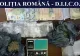 FOTO/VIDEO Percheziții de AMPLOARE. Etnobotanice din China și Olanda, vândute în Constanța și Mureș