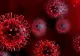 Cum a apărut în România primul caz de infectare cu noua tulpină de coronavirus din Marea Britanie. Răspunsul lui Alexandru Rafila
