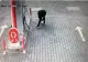 Incendiatorul casei de schimb valutar din Prahova, prins de polițiști