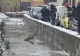 OPERAȚIUNE EMOȚIONANTĂ! Căprioară salvată de pompieri în județul Alba 