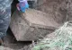 Au găsit un cufăr îngropat în pământ și l-au deschis. Ce au găsit în el, ascuns de zeci de ani