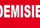 Un ministru acuzat de plagiat a demisionat, în Austria