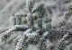 Prognoza meteo 25 ianuarie. Vremea, în răcire: vânt puternic în toată țara