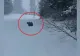 VIDEO - Schior alergat de un urs, pe pârtie la Predeal - Animalul a fost îndepărtat de jandarmi