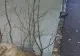 Doi tineri au căzut cu mașina în râul Olt de la o înălţime de 20 de metri