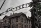PRIMA condamnare pronunțată în România pentru negarea Holocaustului: Un fost ofițer SRI a primit un an și o lună de închisoare
