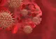 Statistică NEAGRĂ în România în ultima zi: Două tinere de 21 și 28 de ani au murit din cauza COVID-19 - erau nevaccinate