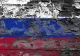 Rusia nu se mai luptă doar cu SARS-COV-2! Moscova a informat OMS cu privire la primele cazuri de infectare umană cu gripa aviară