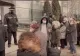 Scandal la centrul de vaccinare din Craiova! Cozi uriașe pentru imunizarea cu a treia doză 