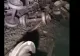 VIDEO - Un tren a deraiat și s-a răsturnat pe carosabil - Imagini spectaculoase