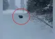 ALERTA EXTREMĂ de URS pe Pârtia Clăbucet, turiștii sunt avertizați să se îndepărteze