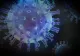 Coronavirus UE. TESTELE rapide antigenice pentru COVID-19 recunoscute în toate țările membre - LISTA