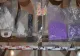 Captură record a polițiștilor brașoveni! Oamenii legii au ridicat aproape 4.000 de pastile de ecstasy și peste un kilogram de cocaină 