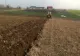 Descoperire ȘOCANTĂ, pe un câmp din apropierea Timișoarei. CE a găsit un localnic, plecat la arat
