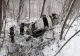 Zăpada le dă bătăi de cap șoferilor! Accident SPECTACULOS la ieșirea din Moreni - O mașină a derapat și s-a răsturnat în pădure