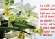FELICITARI 8 MARTIE // Cele mai frumoase FELICITARI şi MESAJE pentru mama, iubita, sefa, sora