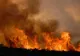Incendiu de vegetație în Corbeanca, lângă București, joi seară. Focul, în apropierea unui cartier rezidențial