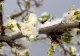 Prognoza meteo pe o lună: schimbări radicale. Vremea până pe 12 aprilie 