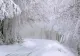 ALERTĂ METEO - Cod galben de NINSORI și VISCOL în București și în 15 județe