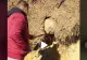 VIDEO - A văzut ceva suspect în pământ și a vrut să vadă ce e. A săpat cu un băț și a scos obiectul la lumină - Nu i-a venit să creadă ce forma are