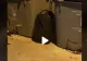 VIDEO – Părea un banal sac de gunoi lăsat lângă pubele. Imaginile arată însă că era cu totul altceva ascuns de poliție