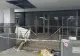 FOTO Anchetă la Piața Rahova după ce o parte din tavan s-a PRĂBUȘIT. Pericol pentru locuitorii din Sectorul 5