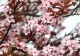 Prognoza meteo în perioada 26 aprilie - 9 mai. Cum va fi vremea de Paște