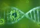 Bilanț coronavirus 24 martie. 6.136 de cazuri noi și 137 de decese. Situație alarmantă pe secțiile de Terapie Intensivă