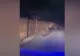 VIDEO | Un urs s-a plimbat noaptea trecută prin gospodăriile din Ditrău, Harghita