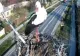 O barză, vedetă într-un oraș din Dâmbovița. Pasărea poate fi urmărită live direct din cuib