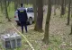 Focuri de armă la granița cu Ucraina pentru prinderea unor contrabandiști de țigări. Vinovații au abandonat marfa și au fugit