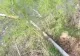 Dezastru ecologic lângă București. Dejecțiile din vilele de lux ajung direct în lac