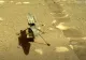 VIDEO Elicopterul trimis de NASA pe Marte a supraviețuit primei nopți reci