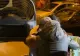 Imagini șocante la Spitalul Foișor din Capitală: bolnavi scoși pe targă în toiul nopții. O pacientă, băgată în portbagaj. Reacția lui Arafat