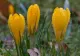 Prognoza meteo 14 aprilie. Vremea se răcește accentuat: ploi, vânt puternic. Unde se întorc ninsorile