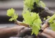 Prognoza meteo pe o lună: temperaturile scad dramatic, vin ploile. Cum va fi vremea până pe 17 mai 