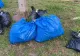VIDEO Un bărbat şi o femeie, arestaţi la Galați, după ce au aruncat în Dunăre trei saci de cannabis