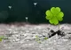Horoscop 3 aprilie. Zodia care primește un ajutor financiar nesperat