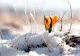 METEO. Cea mai rece primăvară în Europa din ultimii 8 ani