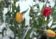 Prognoza meteo 9 aprilie. Vreme deosebit de rece, în toată țara: ploi și ninsori
