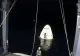 Premieră în 50 de ani la NASA - Capsula Space X a revenit în siguranță pe pământ