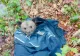 FOTO Pui de urs căzut de pe munte în zona Vidraru, salvat de un jandarm