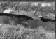 Dezastru ecologic: Sute de litri de sânge în râul Argeș. Cine se face vinovat de poluare