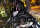 Accident CUMPLIT la intrarea în Medgidia - doi tineri au murit STRIVIȚI de copacii de pe marginea drumului
