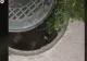 VIDEO – Ce au găsit niște români într-un canal – Se auzeau sunete ciudate și de frică l-au deschis cu un lemn, de la distanță