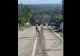 VIDEO | Un cerb a fost surprins la „plimbare” pe mijlocul șoselei