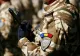 Un nou contingent de militari români a revenit din Afganistan - VIDEO
